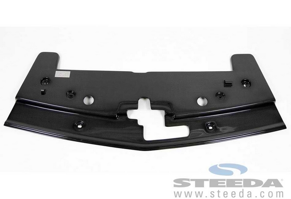 APR Performance Mustang Radiator Cooling Plate (05-09)